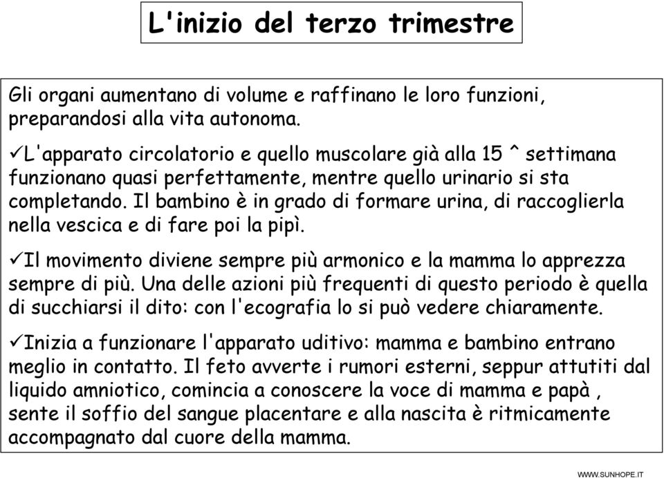 Il bambino è in grado di formare urina, di raccoglierla nella vescica e di fare poi la pipì. Il movimento diviene sempre più armonico e la mamma lo apprezza sempre di più.