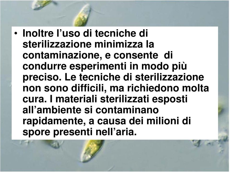 Le tecniche di sterilizzazione non sono difficili, ma richiedono molta cura.