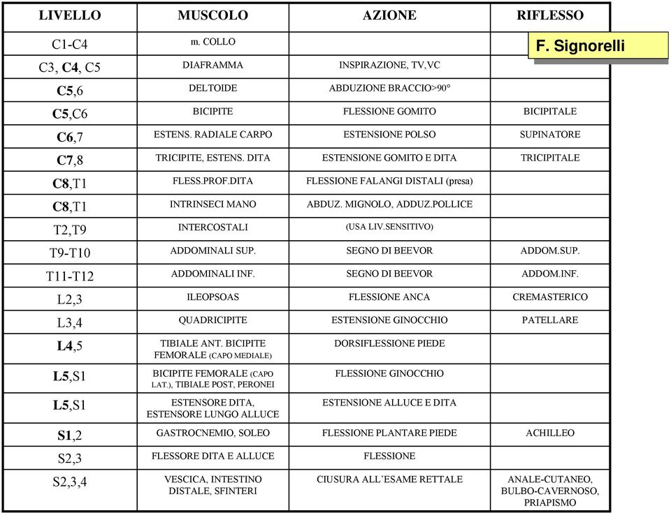 DITA ESTENSIONE GOMITO E DITA TRICIPITALE C8,T1 FLESS.PROF.DITA FLESSIONE FALANGI DISTALI (presa) C8,T1 INTRINSECI MANO ABDUZ. MIGNOLO, ADDUZ.POLLICE T2,T9 INTERCOSTALI (USA LIV.