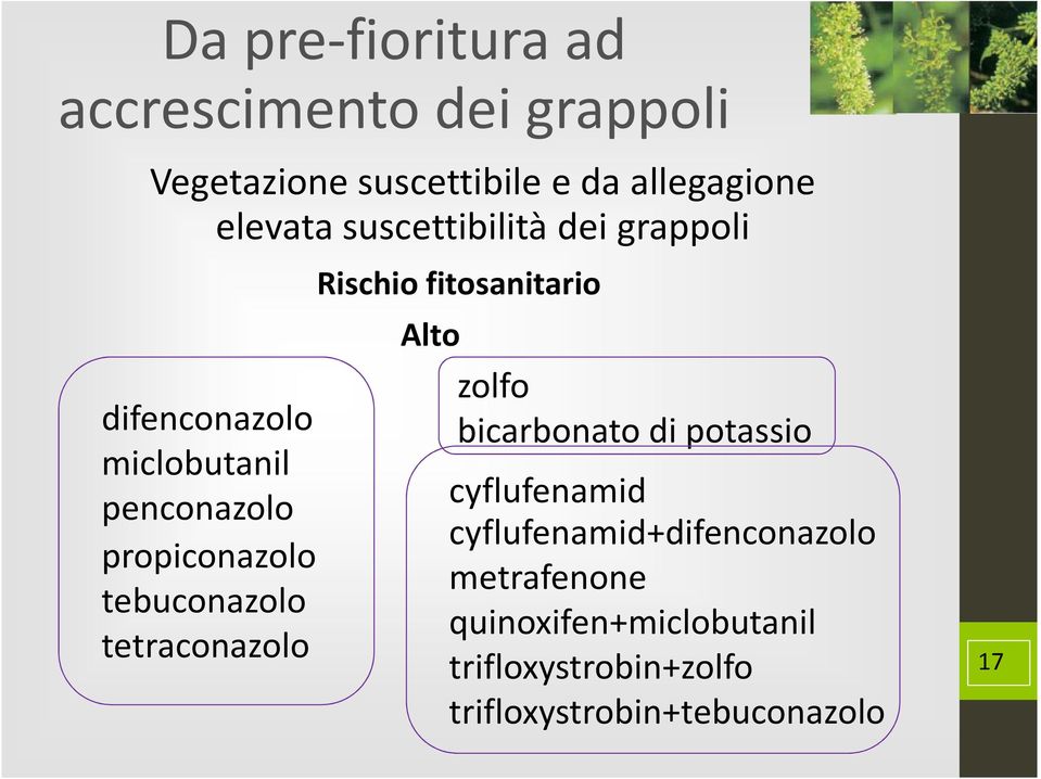 tetraconazolo Rischio fitosanitario Alto zolfo bicarbonato di potassio cyflufenamid