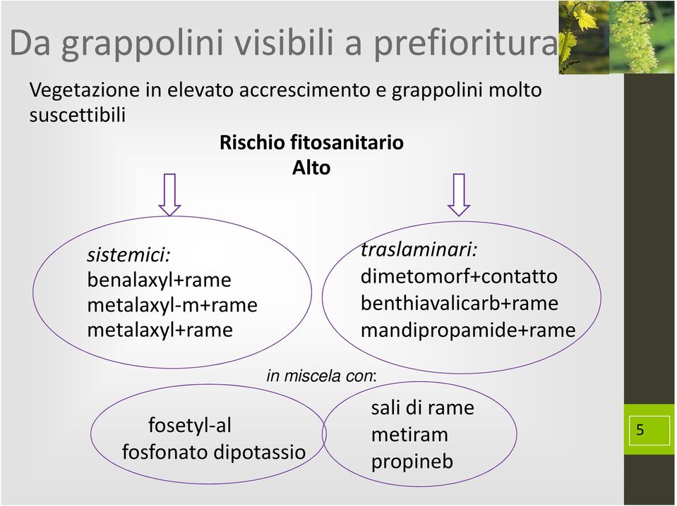 metalaxyl-m+rame metalaxyl+rame traslaminari: dimetomorf+contatto