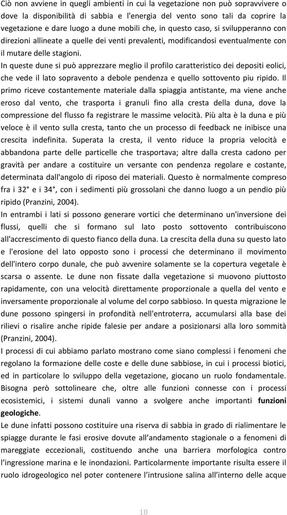 In queste dune si può apprezzare meglio il profilo caratteristico dei depositi eolici, che vede il lato sopravento a debole pendenza e quello sottovento piu ripido.