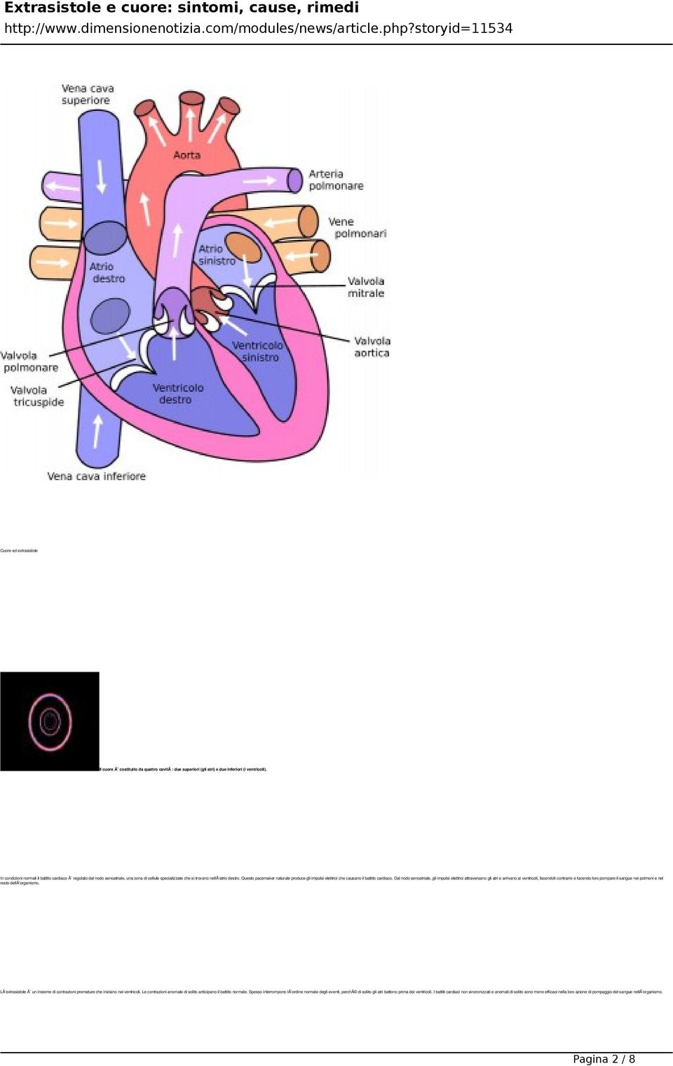 Questo pacemaker naturale produce gli impulsi elettrici che causano il battito cardiaco.