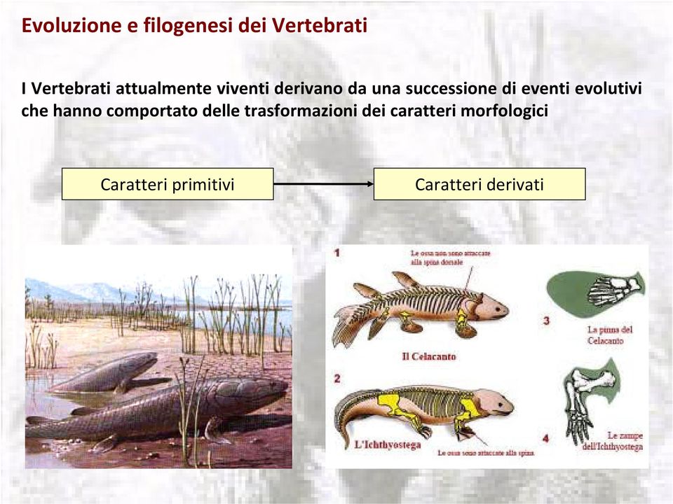 eventi evolutivi che hanno comportato delle