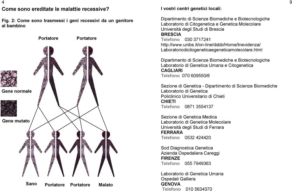 Biomediche e Biotecnologiche Laboratorio di Citogenetica e Genetica Molecolare Università degli Studi di Brescia BRESCIA Telefono 030 3717241 http://www.unibs.