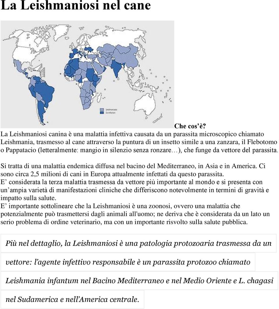 Pappatacio (letteralmente: mangio in silenzio senza ronzare ), che funge da vettore del parassita. Si tratta di una malattia endemica diffusa nel bacino del Mediterraneo, in Asia e in America.