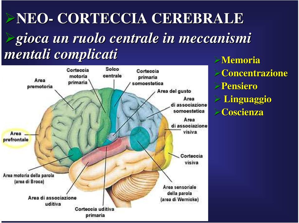 mentali complicati Memoria