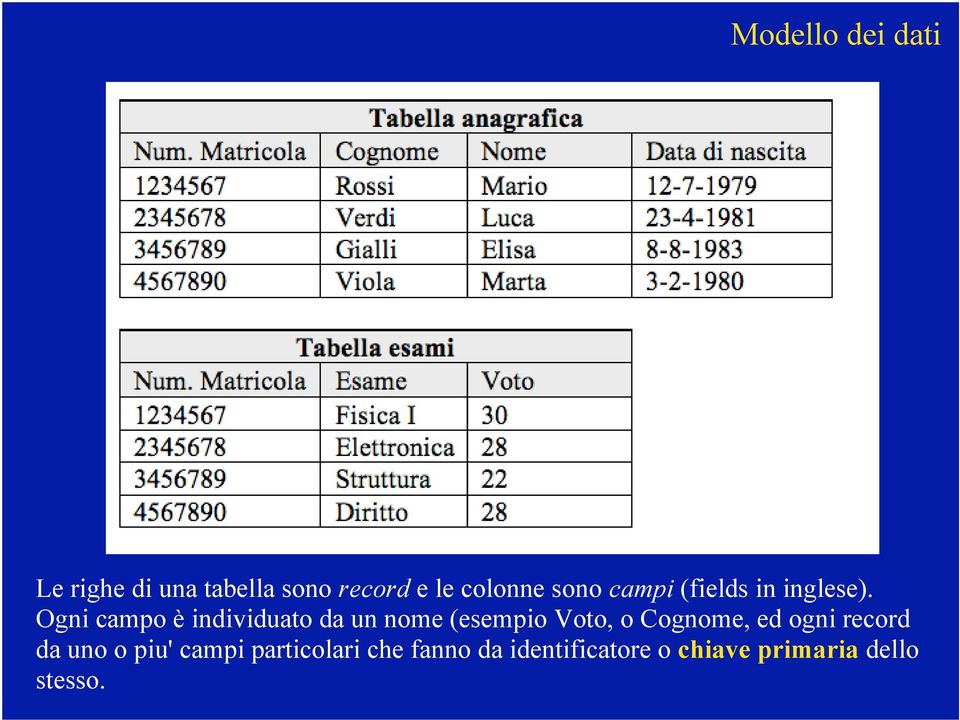 Ogni campo è individuato da un nome (esempio Voto, o Cognome, ed