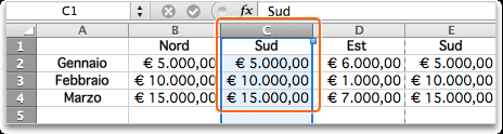 8. Inserire e ridimensionare le colonne Quando si immettono e modificano i dati, è possibile inserire nuove colonne per creare lo spazio necessario a nuovi dati o ridimensionare le colonne per fare