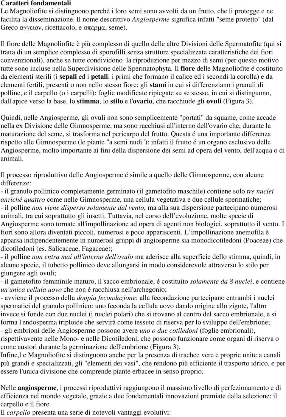 Il fiore delle Magnoliofite è più complesso di quello delle altre Divisioni delle Spermatofite (qui si tratta di un semplice complesso di sporofilli senza strutture specializzate caratteristiche dei