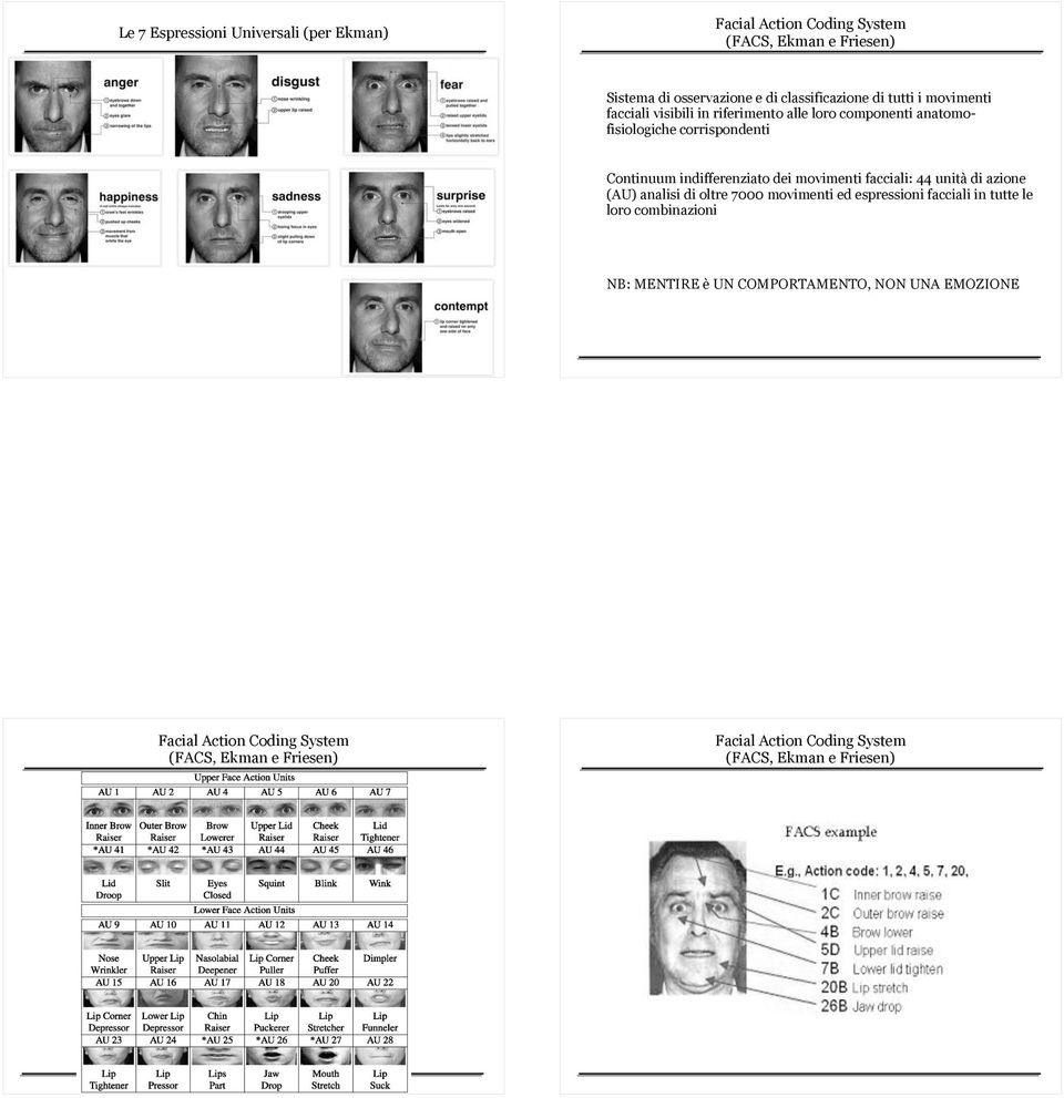 movimenti facciali: 44 unità di azione (AU) analisi di oltre 7000 movimenti ed espressioni facciali in tutte le loro combinazioni NB:
