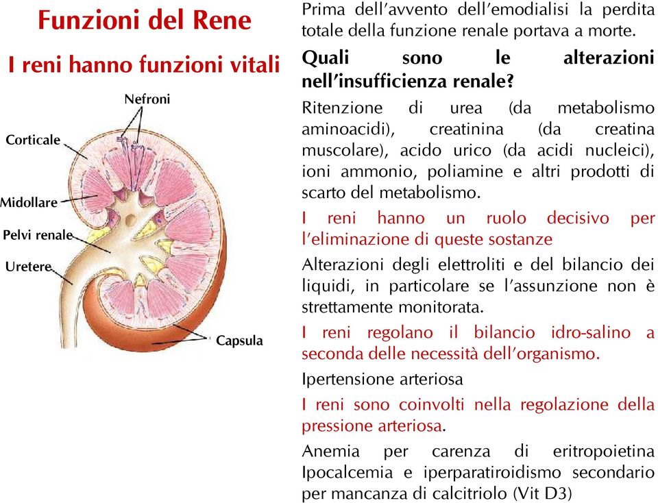 Ritenzione di urea (da metabolismo aminoacidi), creatinina (da creatina muscolare), acido urico (da acidi nucleici), ioni ammonio, poliamine e altri prodotti di scarto del metabolismo.