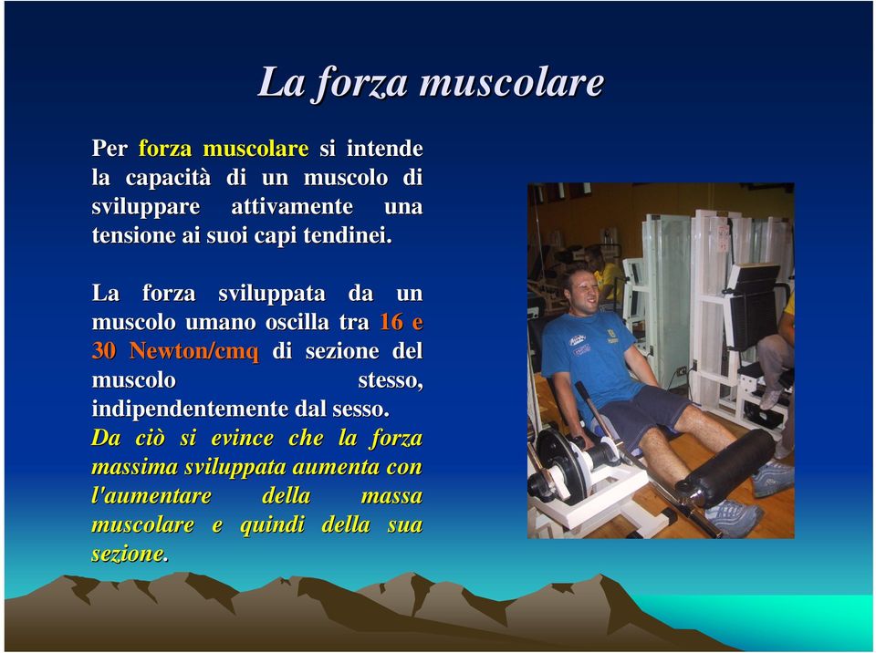 La forza sviluppata da un muscolo umano oscilla tra 16 e 30 Newton/cmq di sezione del muscolo