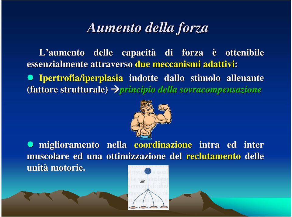 allenante (fattore strutturale) principio della sovracompensazione miglioramento nella