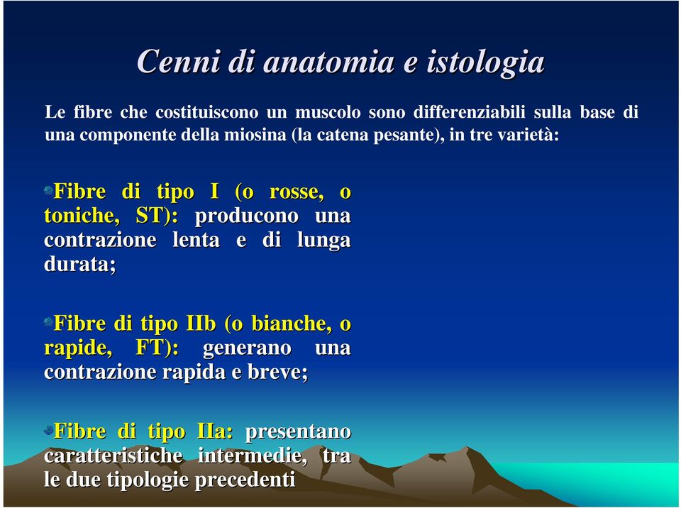 producono una contrazione lenta e di lunga durata; Fibre di tipo IIb (o bianche, o rapide, FT): generano una