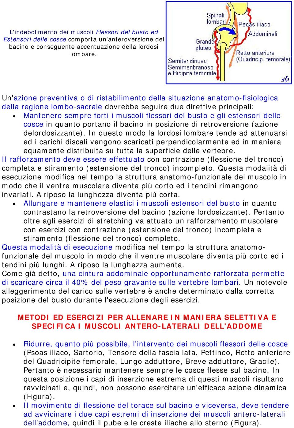 busto e gli estensori delle cosce in quanto portano il bacino in posizione di retroversione (azione delordosizzante).