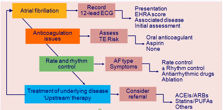 Il trattamento a cascata della fibrillazione atriale ACEI = angiotensin-converting enzyme inhibitor; AF =