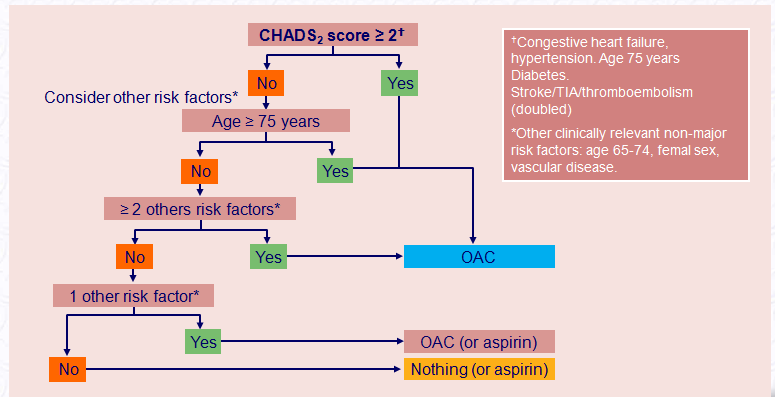 Uso della TAO per la prevenzione dello stroke nella fibrillazione atriale AF = atrial fibrillation; OAC = oral
