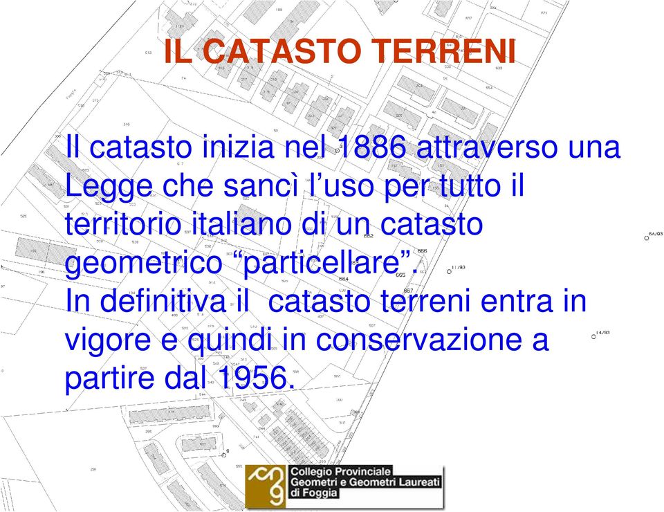 geometrico particellare.