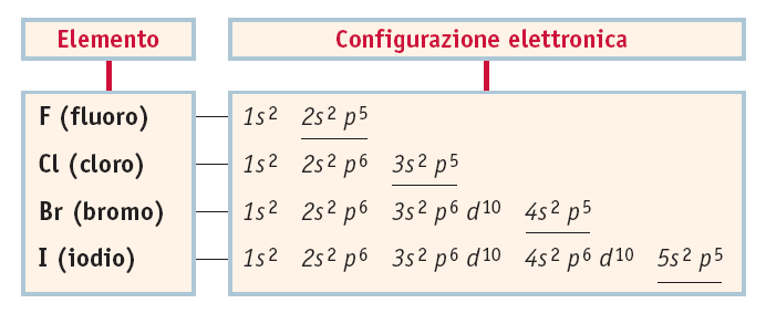 Configurazione elettronica esterna Gli elementi dello stesso gruppo hanno la stessa configurazione elettronica esterna.