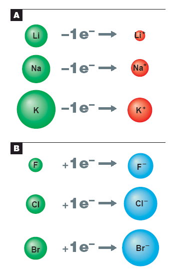 Cationi ed anioni Ogni atomo è elettricamente neutro, perché contiene lo stesso numero di cariche positive e negative.