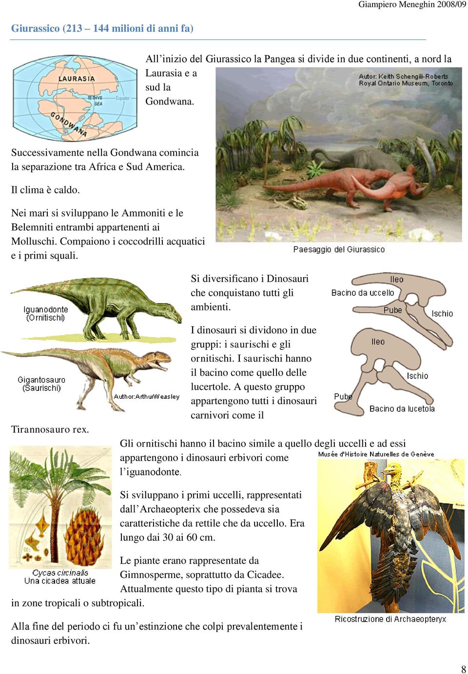 Compaiono i coccodrilli acquatici e i primi squali. Si diversificano i Dinosauri che conquistano tutti gli ambienti. Tirannosauro rex.