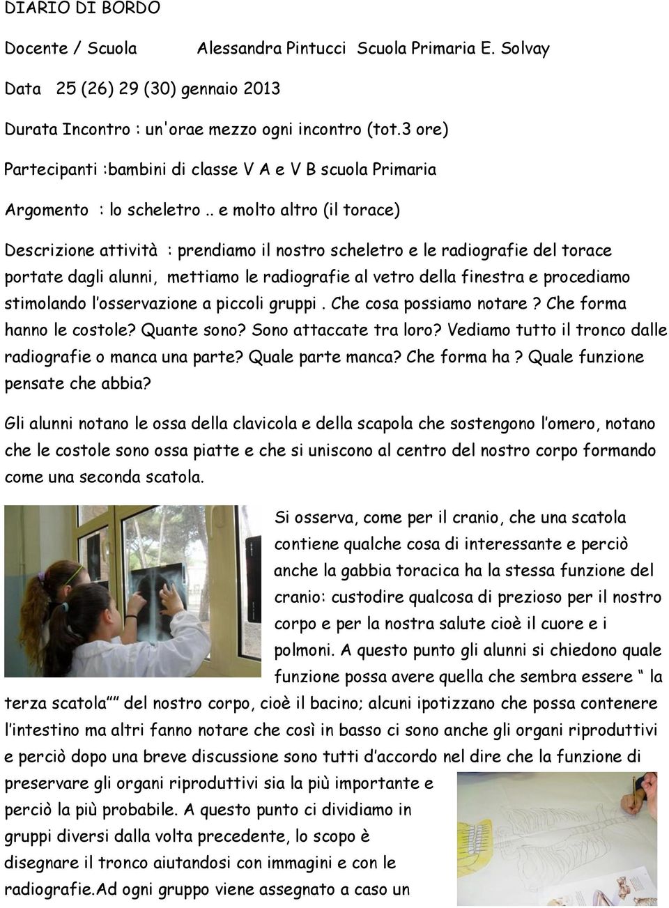 stimolando l osservazione a piccoli gruppi. Che cosa possiamo notare? Che forma hanno le costole? Quante sono? Sono attaccate tra loro? Vediamo tutto il tronco dalle radiografie o manca una parte?