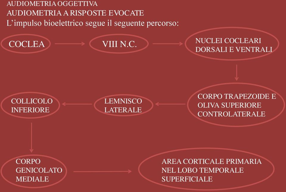 CLEA VIII N.C. NUCLEI COCLEARI DORSALI E VENTRALI COLLICOLO INFERIORE LEMNISCO