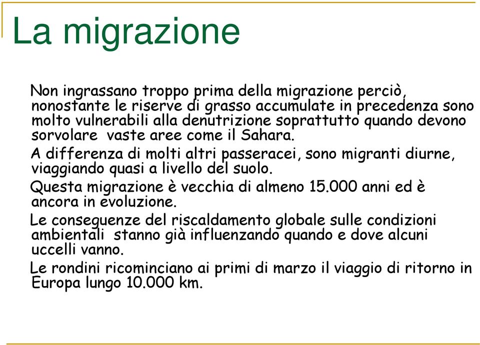 A differenza di molti altri passeracei, sono migranti diurne, viaggiando quasi a livello del suolo. Questa migrazione è vecchia di almeno 15.