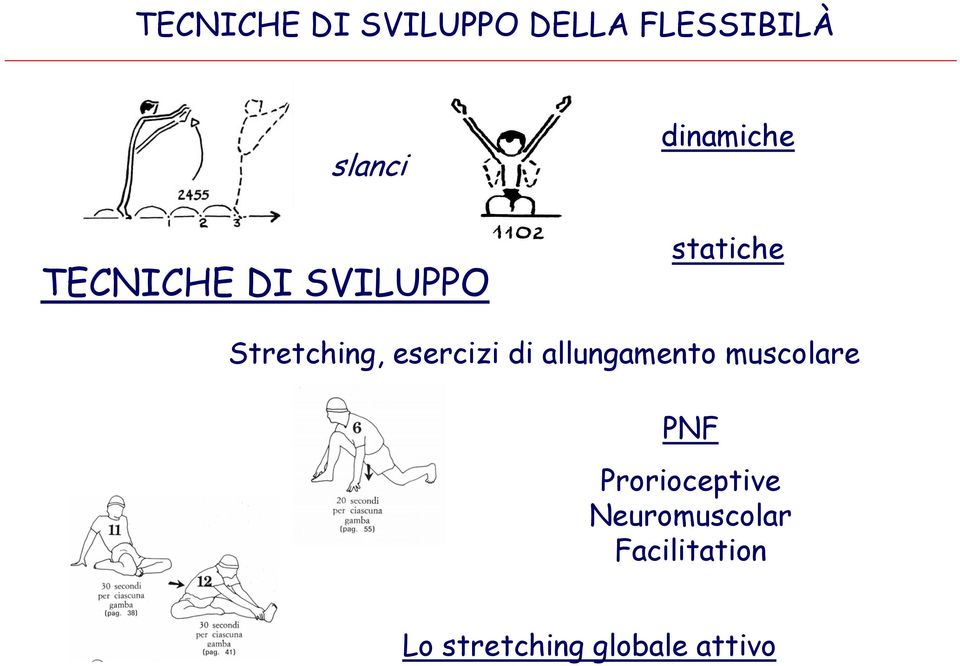 esercizi di allungamento muscolare PNF