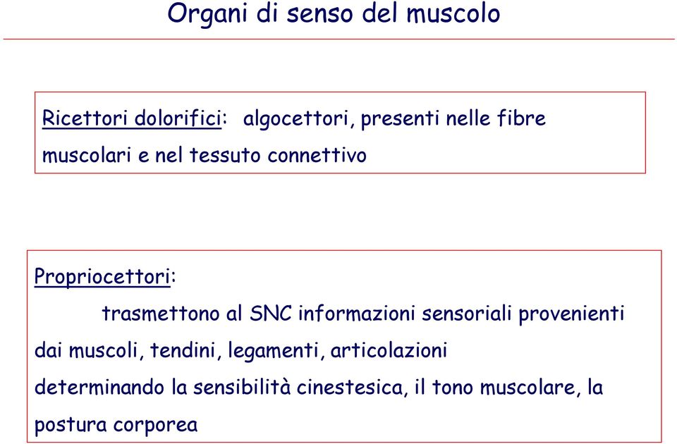 SNC informazioni sensoriali provenienti dai muscoli, tendini, legamenti,