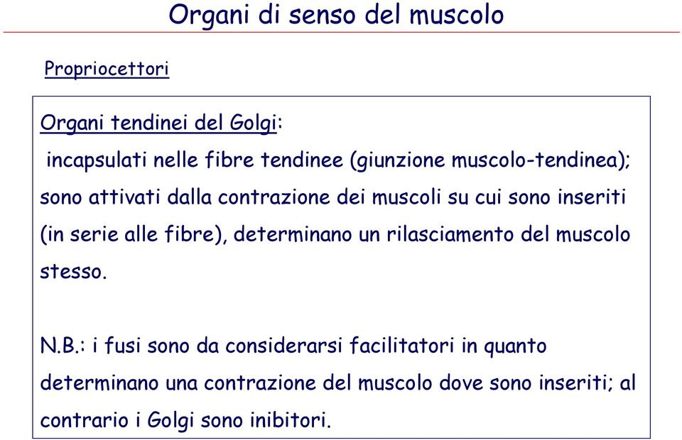 alle fibre), determinano un rilasciamento del muscolo stesso. N.B.