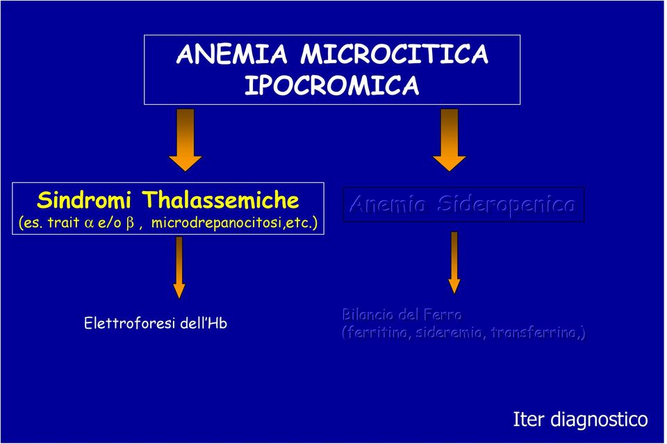) Anemia Sideropenica Elettroforesi dell Hb Bilancio