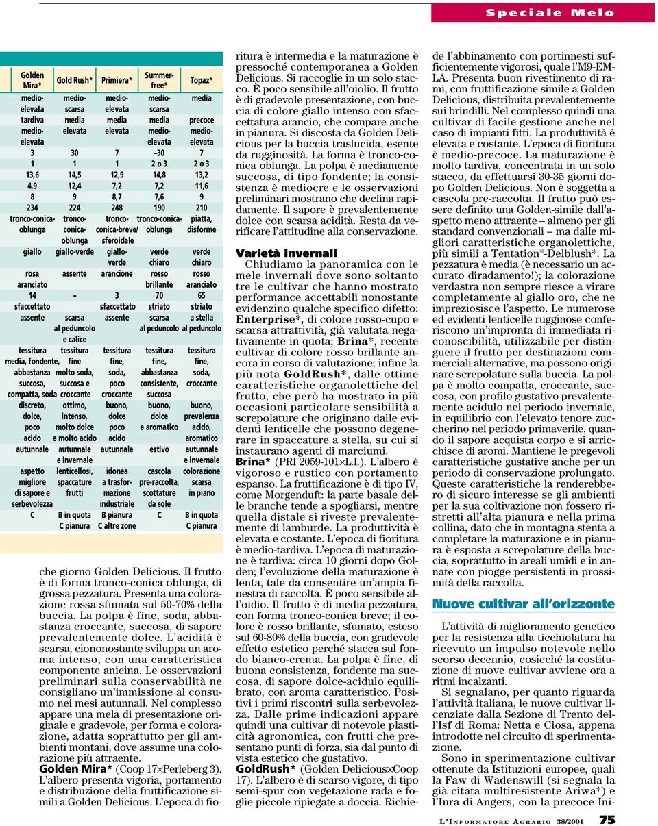 conica-breve/ oblunga disforme oblunga sferoidale giallo giallo-verde giallo- verde verde verde chiaro chiaro rosa assente arancione rosso rosso aranciato brillante aranciato 14 3 70 65 sfaccettato