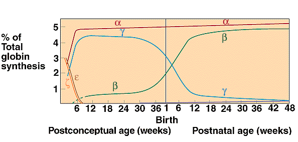 Talassemie Hb fisiologiche EMOGLOBINE