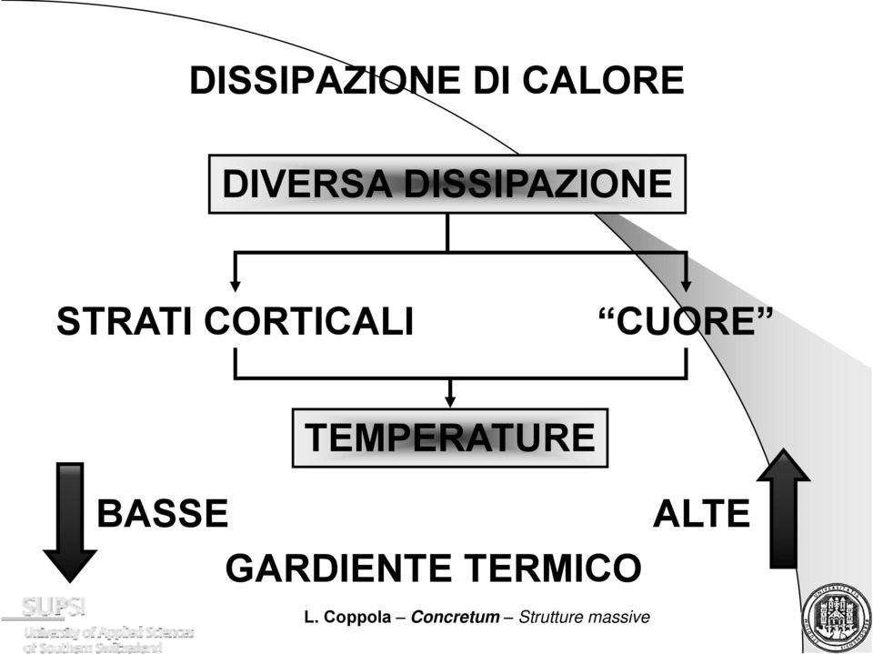 STRATI CORTICALI CUORE