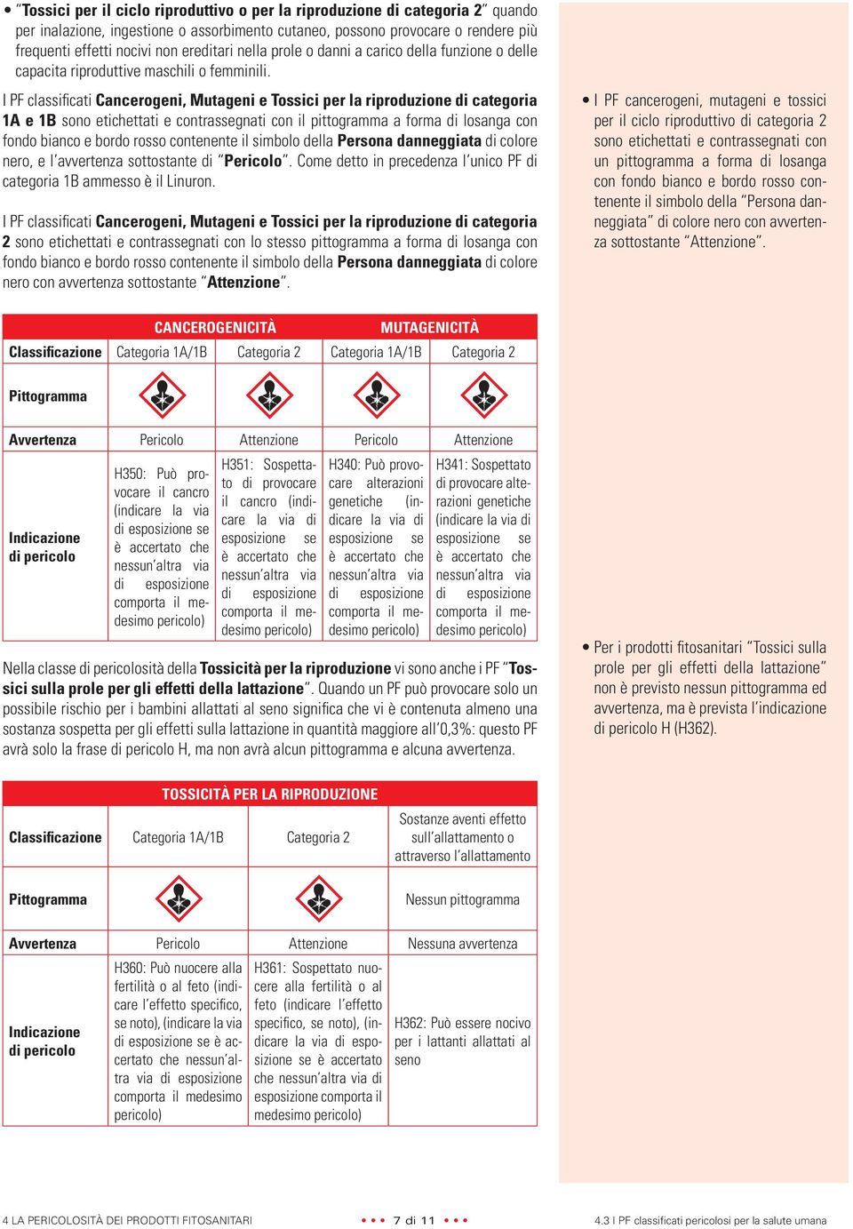 I PF classifi cati Cancerogeni, Mutageni e Tossici per la riproduzione di categoria 1A e 1B sono etichettati e contrassegnati con il pittogramma a forma di losanga con fondo bianco e bordo rosso