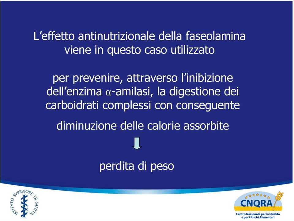 enzima α-amilasi, la digestione dei carboidrati complessi con