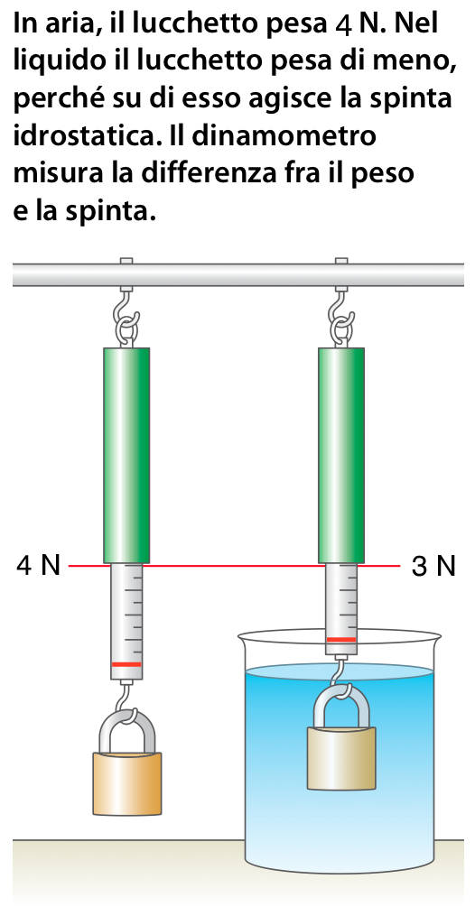 Il principio di Archimede Un corpo solido immerso in un liquido risente di una forza orientata verso l alto, detta spinta idrostatica o di Archimede.