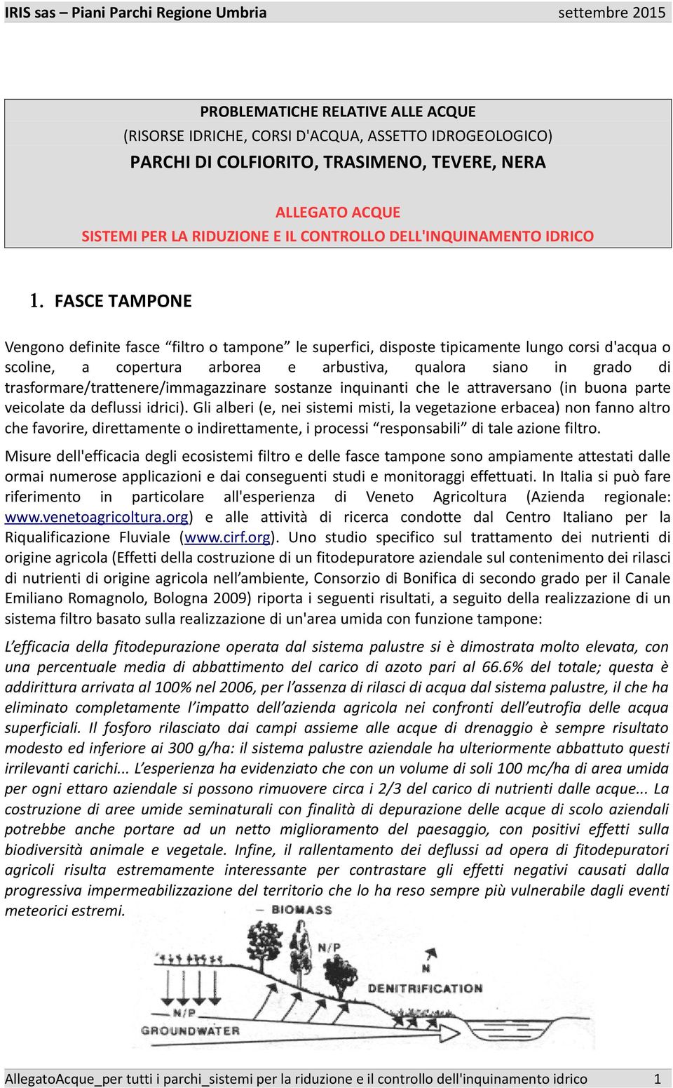 FASCE TAMPONE Vengono definite fasce filtro o tampone le superfici, disposte tipicamente lungo corsi d'acqua o scoline, a copertura arborea e arbustiva, qualora siano in grado di