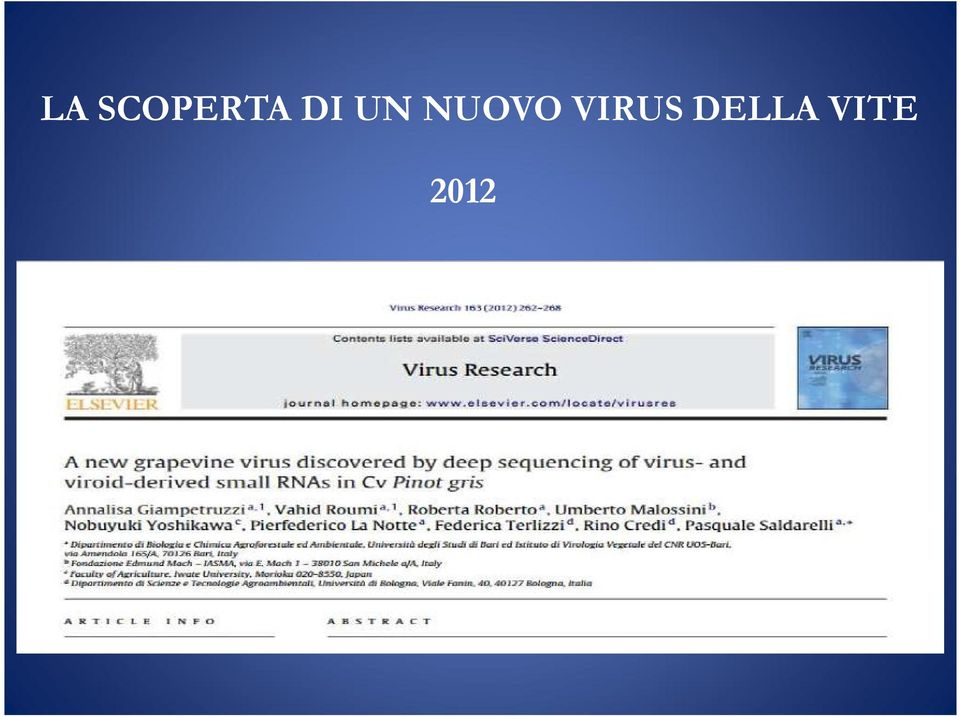 VIRUS DELLA