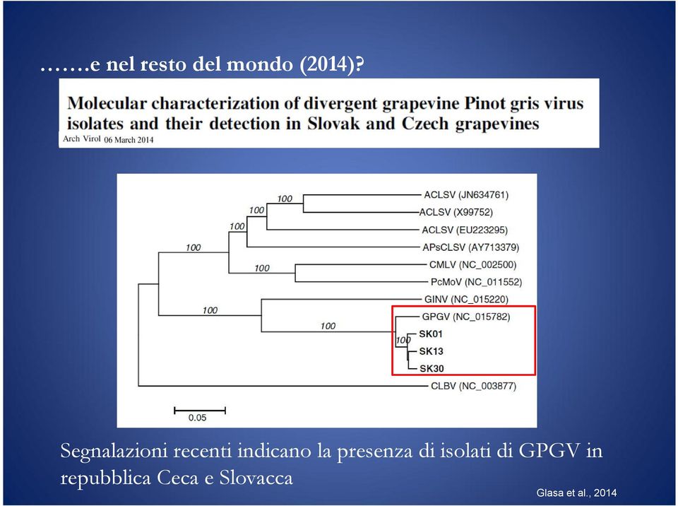 presenza di isolati di GPGV in