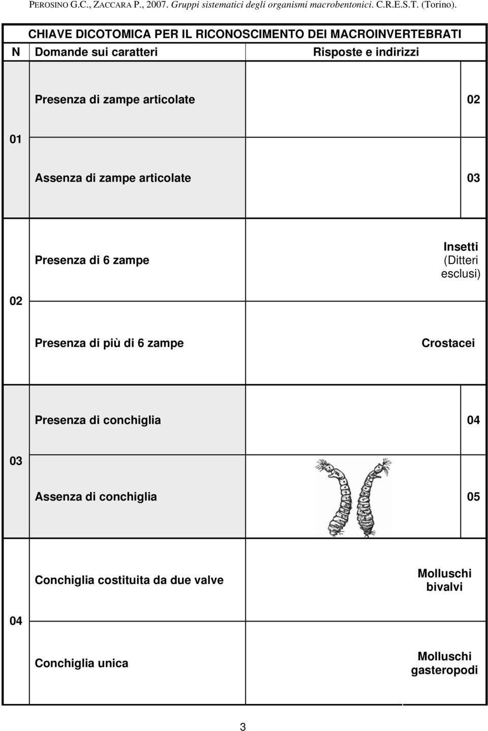 Insetti (Ditteri esclusi) 02 Presenza di più di 6 zampe Crostacei Presenza di conchiglia 04 03 Assenza