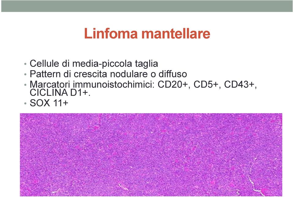 crescita nodulare o diffuso Marcatori