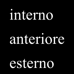 .. interno