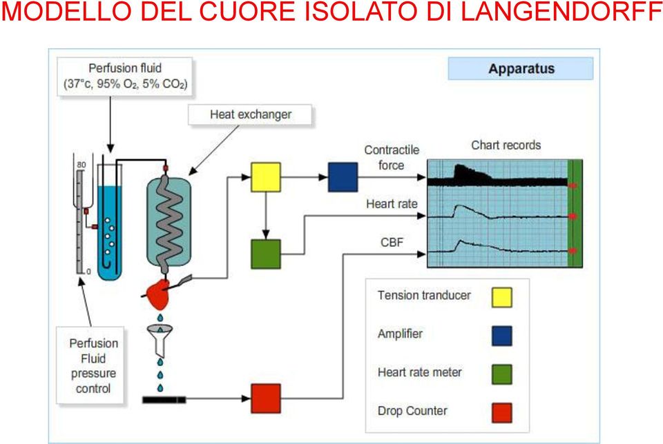 ISOLATO