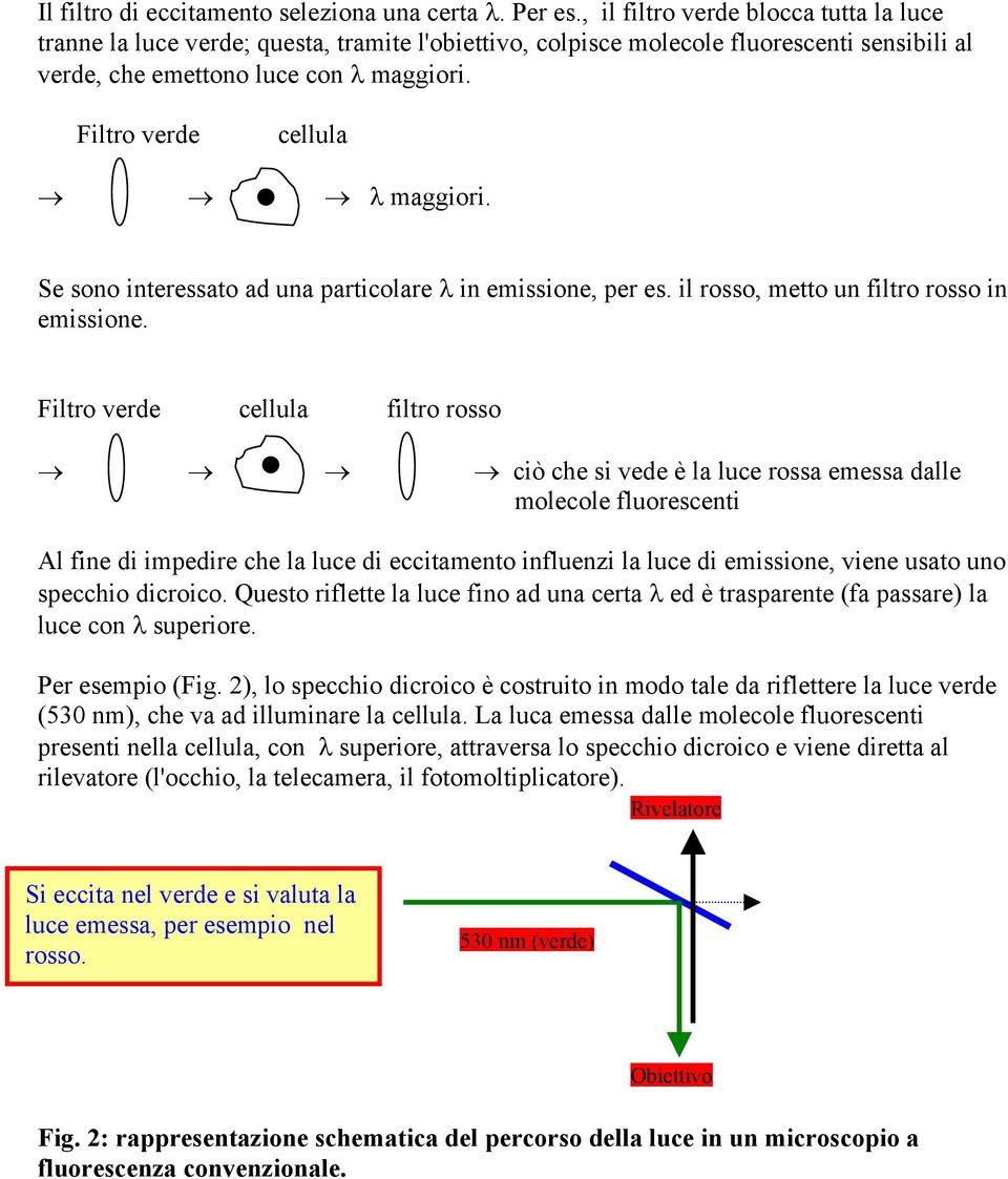 Filtro verde cellula λ maggiori. Se sono interessato ad una particolare λ in emissione, per es. il rosso, metto un filtro rosso in emissione.