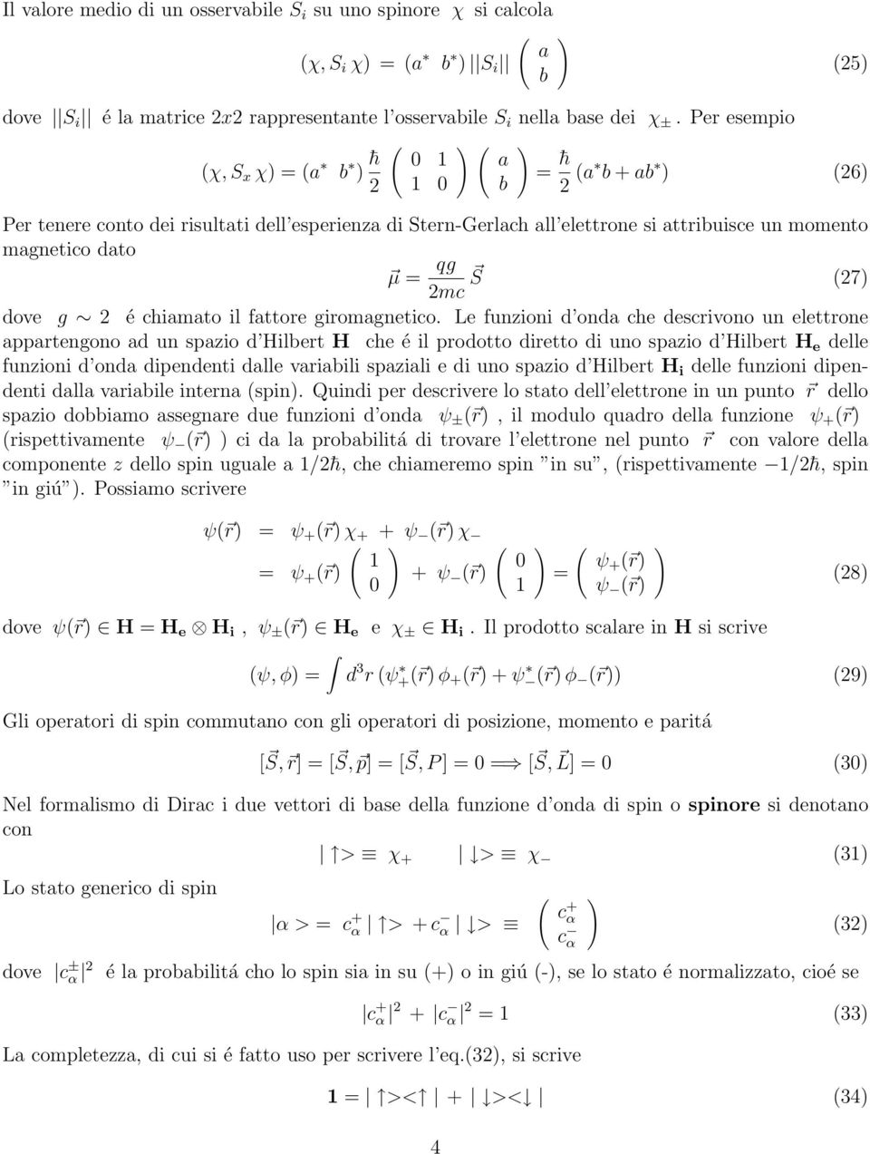 il fattore giromagnetio.