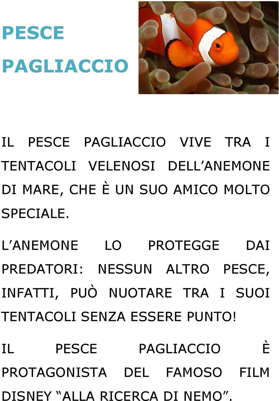 L ANEMONE LO PROTEGGE DAI PREDATORI: NESSUN ALTRO PESCE, INFATTI, PUÒ NUOTARE