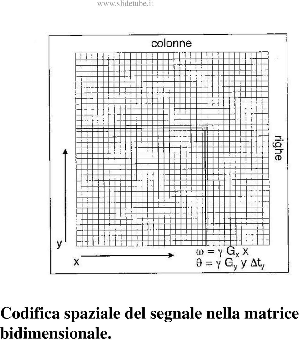 segnale nella